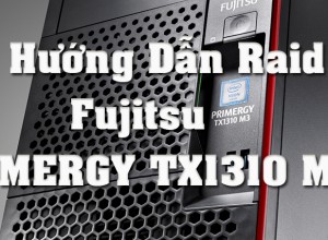 huong_dan_raid_fujitsu_tx1310_m3