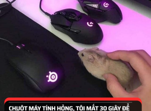 339139095_1004708780902787_526532735432757651_n